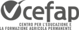 cefap cefap